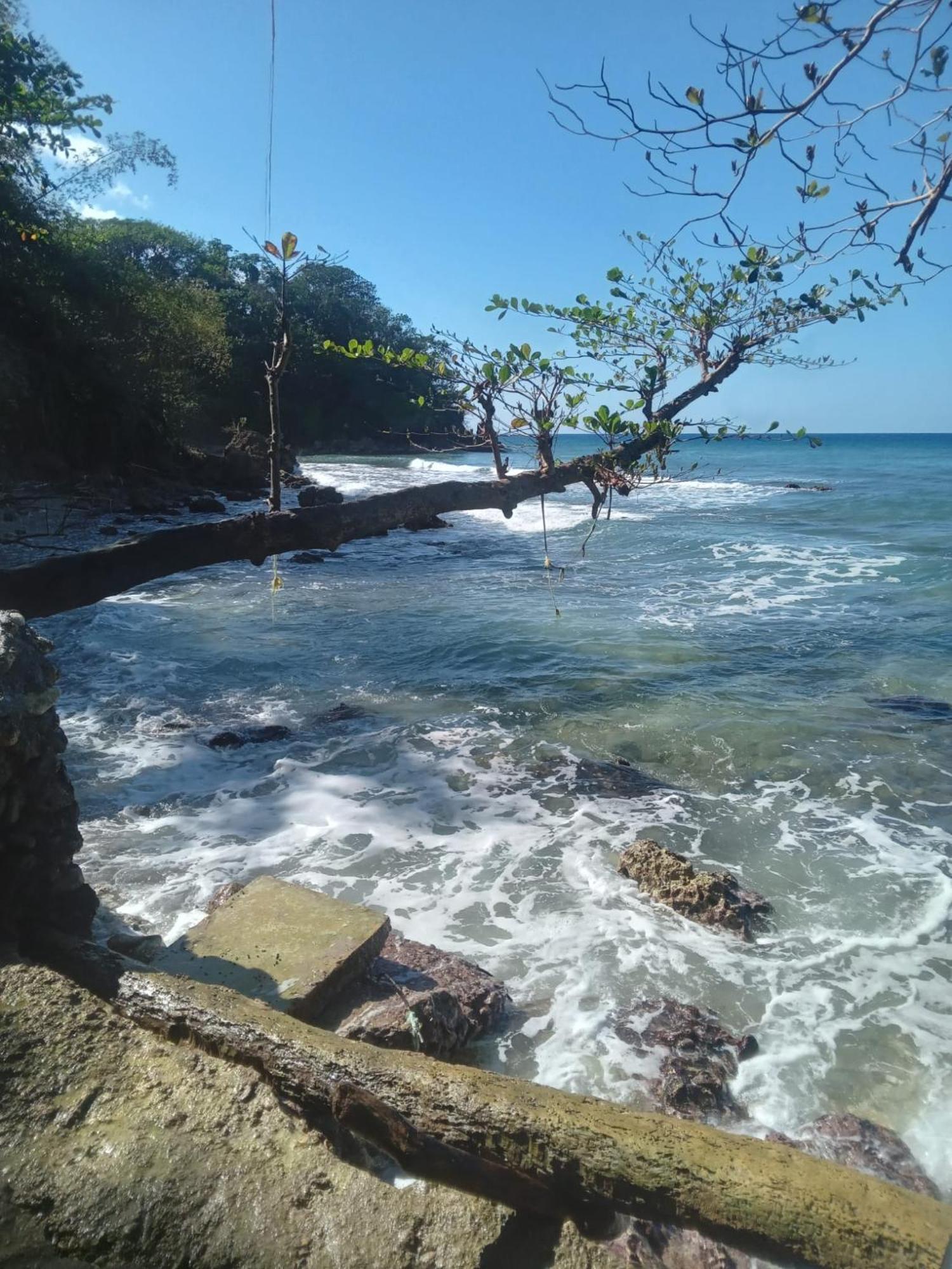 Hotel Barracuda Beach Port Antonio Esterno foto