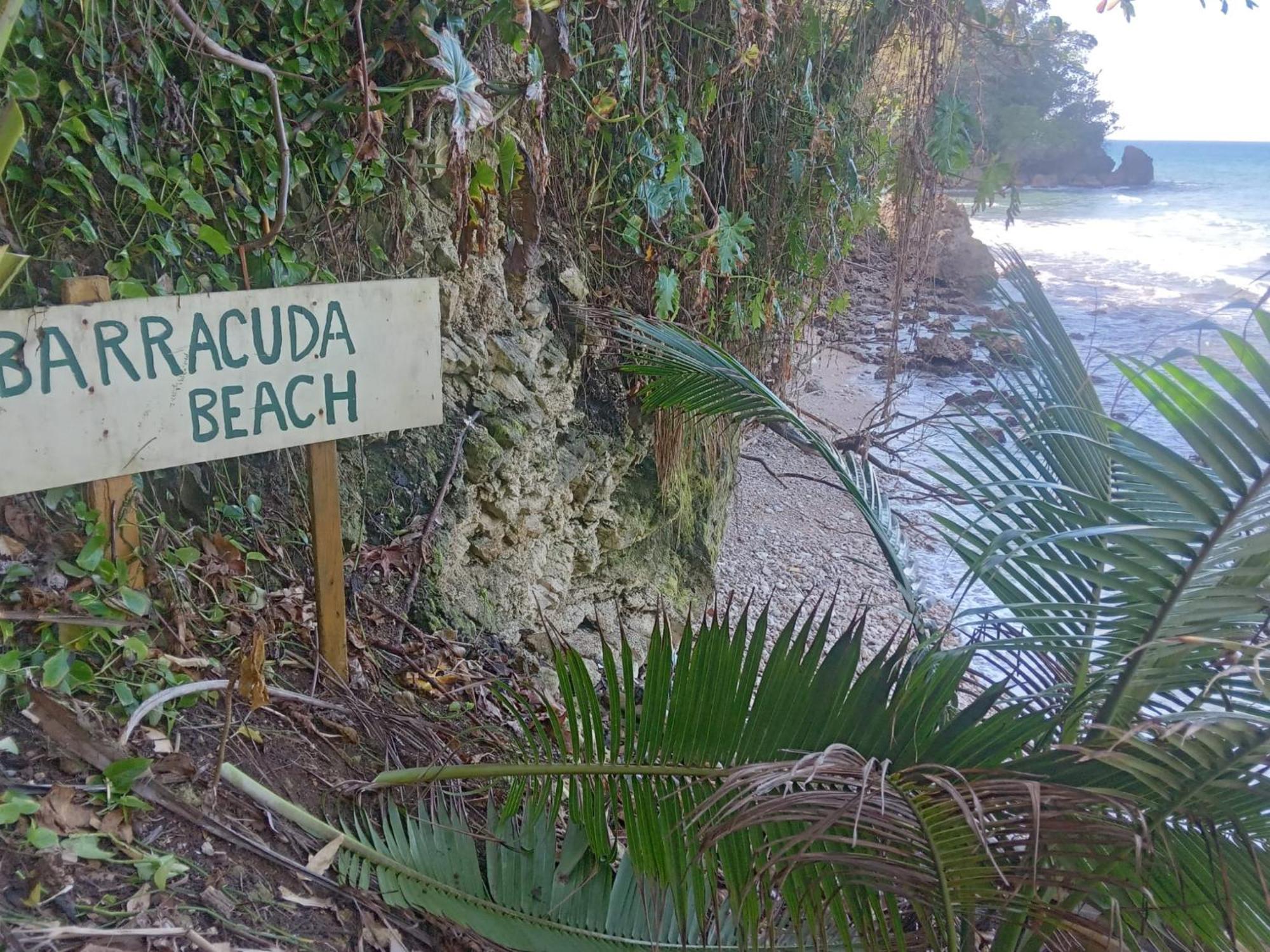 Hotel Barracuda Beach Port Antonio Esterno foto