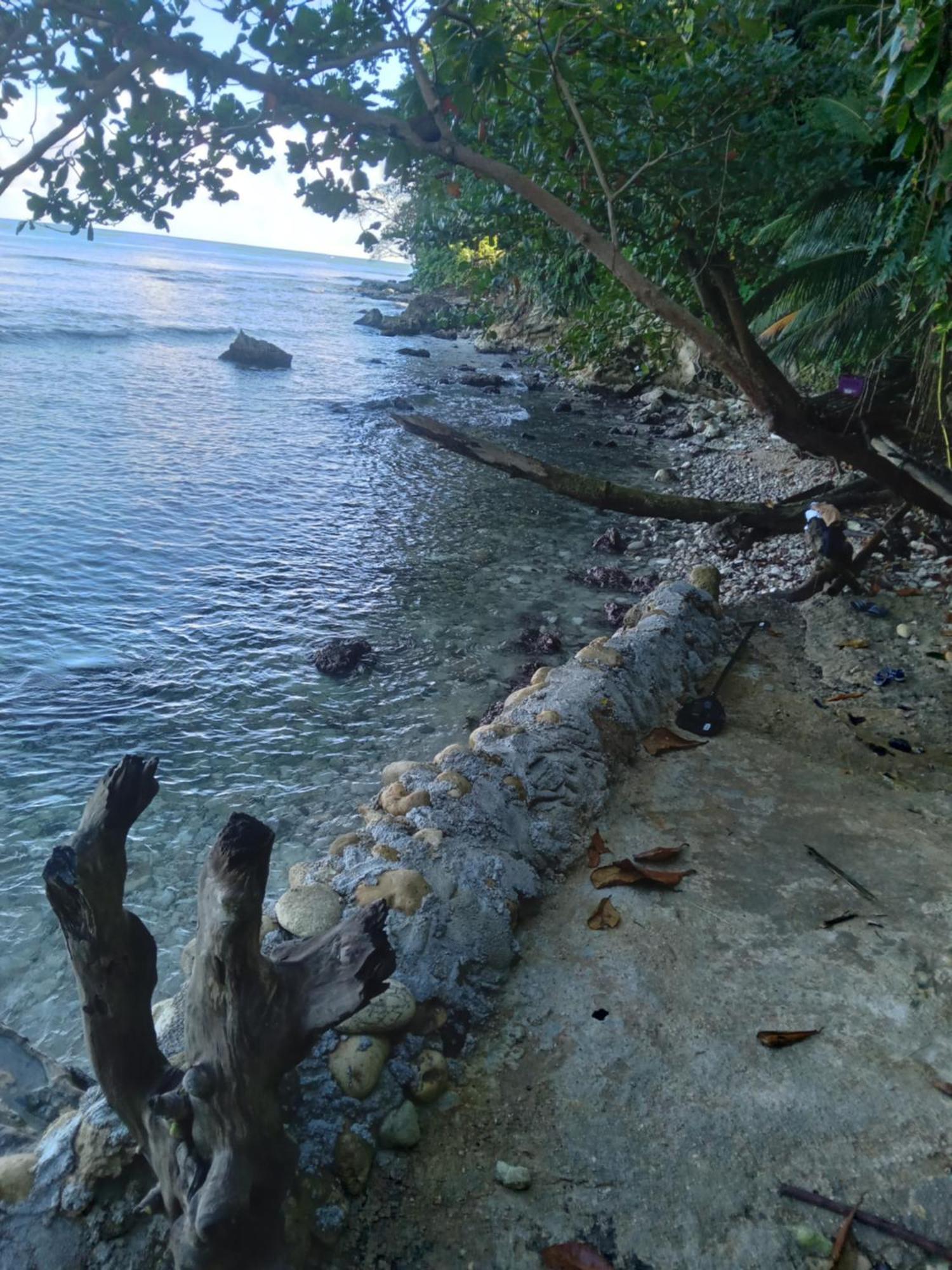 Hotel Barracuda Beach Port Antonio Esterno foto