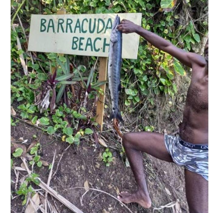 Hotel Barracuda Beach Port Antonio Esterno foto